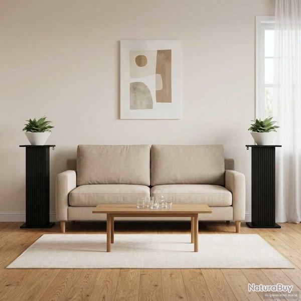 Support de Plante 2 pcs Noir 30,5 x 30 x 80,5 cm