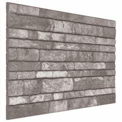 Panneaux muraux 10 pcs Gris fonc&eacute; 100 x 50 cm Mousse EPS