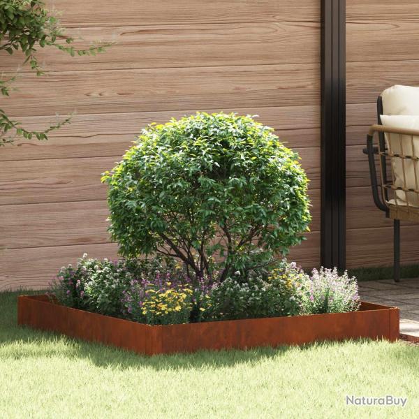 Bordure de Pelouse 100 x 100 x 20 cm Acier Rouill�