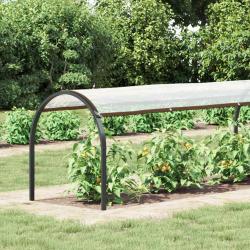 Couverture pour plantes Transparent 2 x 1,5 m PE