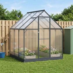 Serre de jardin avec porte Anthracite 183,5 x 183,5 x 207 cm