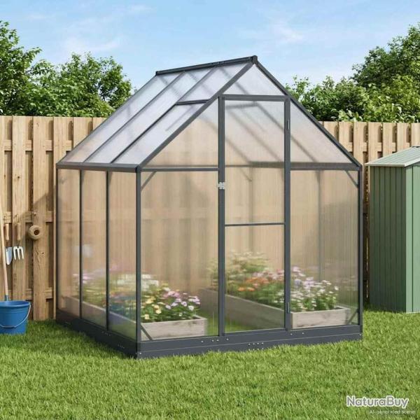 Serre de jardin avec porte Anthracite 183,5 x 183,5 x 207 cm