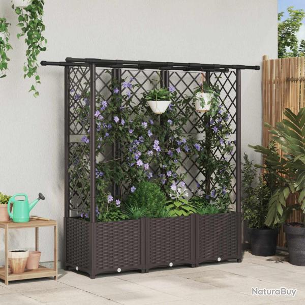 Lit �lev� avec Treillis et Toit Marron 163,5 x 40 x 136 cm PP