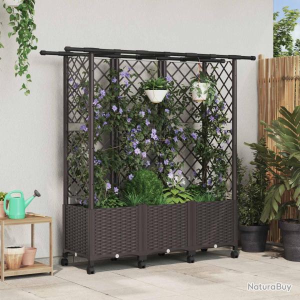 Lit �lev� avec Treillis et Toit Marron 163,5 x 40 x 142 cm PP