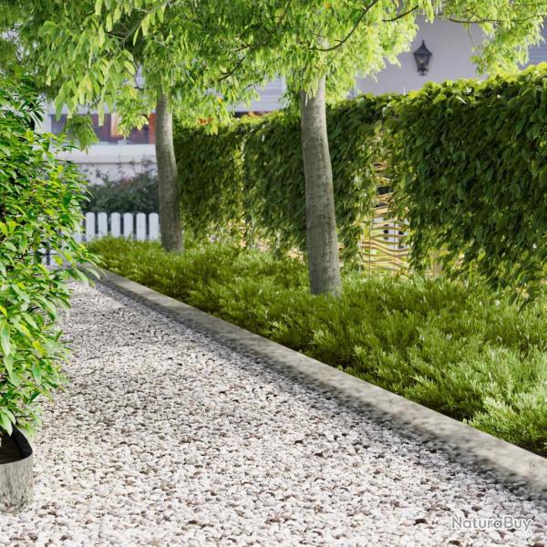 Bordure de Pelouse 10 pcs 103 x 20 cm m�tal Argent�