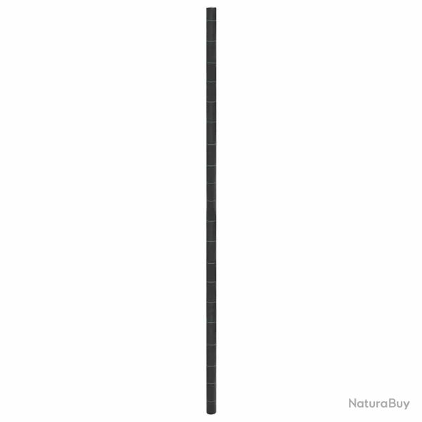 Membrane anti-mauvaises herbes noir 4x10 m PP
