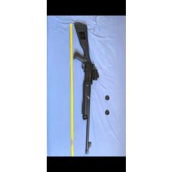 Fusil de chasse