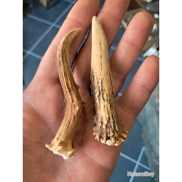 Paire de bois de chevreuil #L112R(13)