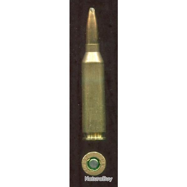 4.6 x 36 HK exp�rimentale - balle cuivre biseaut�e