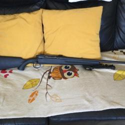 243 rem savage axis
