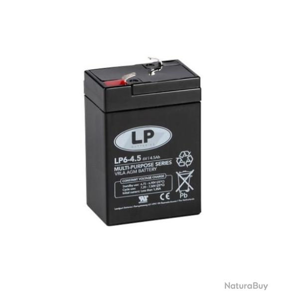 Batterie 6 V rechargeable