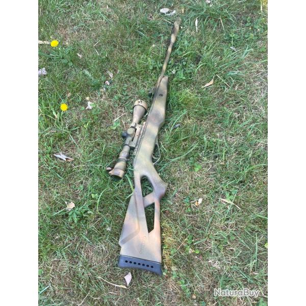 Carabine � plomb