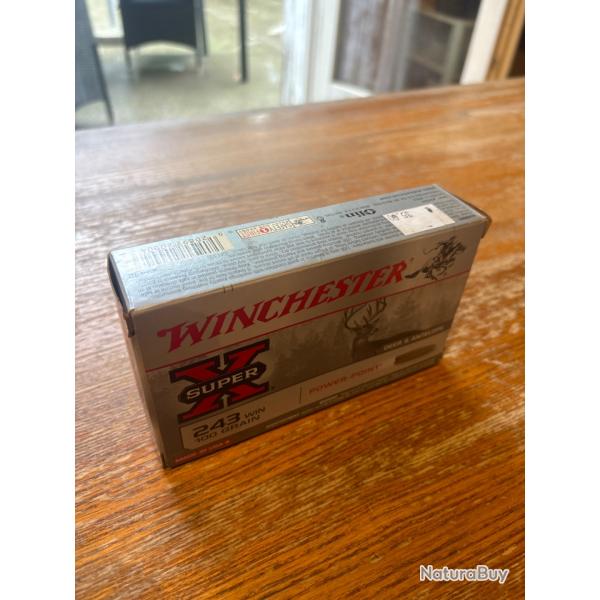 Balles 243 Winchester