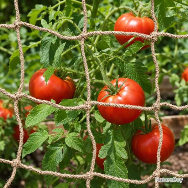 Filet de soutien en jute pour plantes Naturel 1 x 5 m