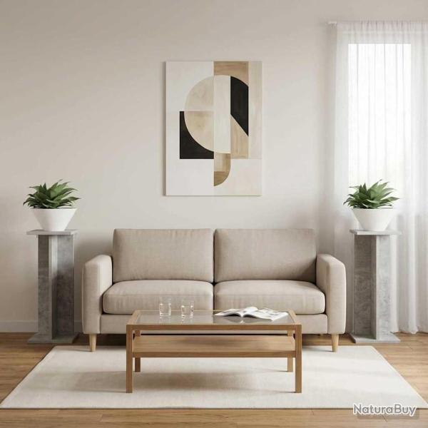 Support de Plante 2 pcs Gris B�ton 25 x 25,5 x 60,5 cm