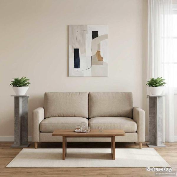 Support de Plante 2 pcs Gris B�ton 25 x 25,5 x 80,5 cm
