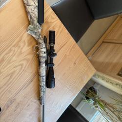 Carabine ruger 17hmr