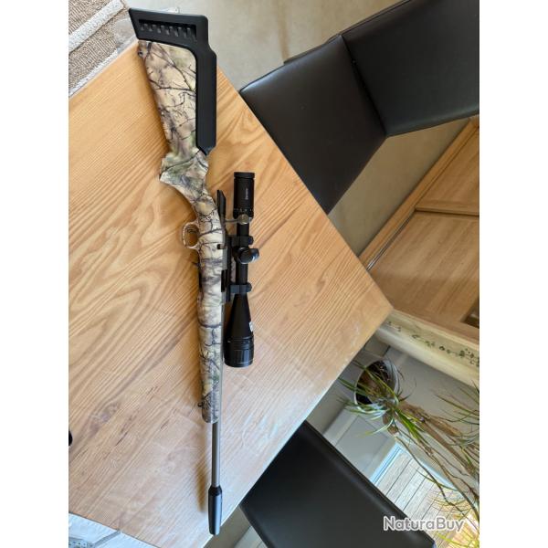 Carabine ruger 17hmr