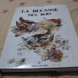 La b&eacute;casse des bois D.Fraguglione