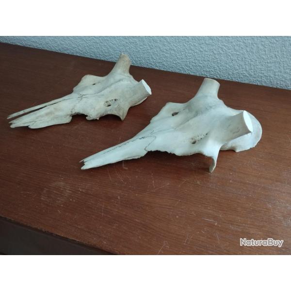 2 MASSACRE CRANE CERF NATUREL POUR POSE BOIS