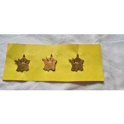Lot de 3 Insignes lib&eacute;ration WW2 original  ( 1 )