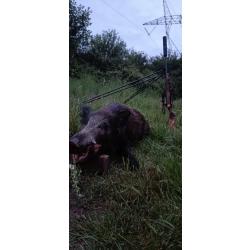 Chasse au gros &agrave; la journee