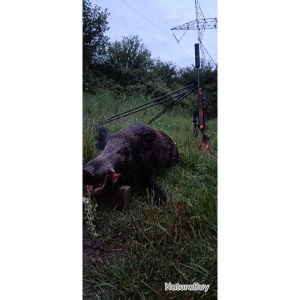 Chasse au gros � la journee