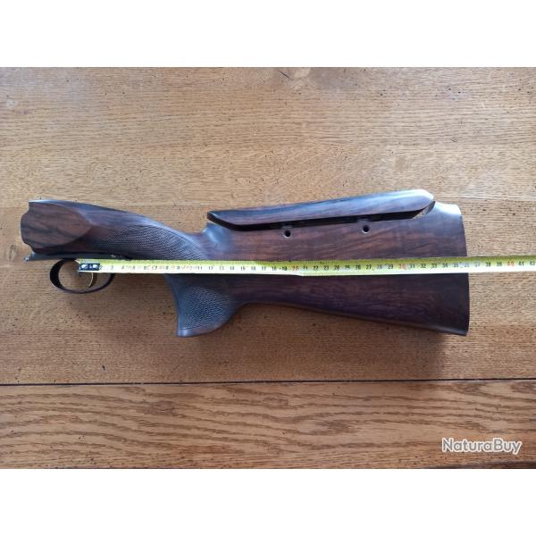 Crosse dt11 fosse gaucher