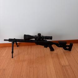 RUGER Rimfire 22 Lr