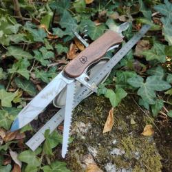 Victorinox forester