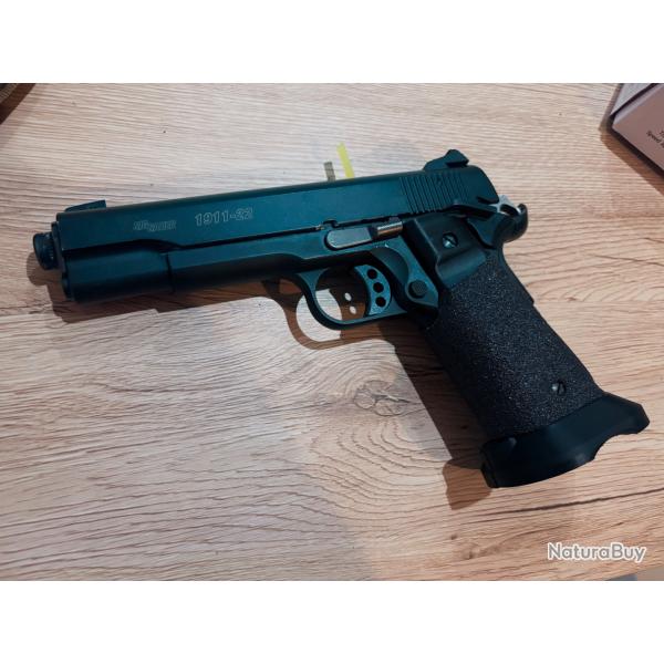 Sig sauer 1911-22