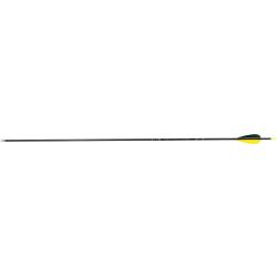 Fl&egrave;che Avalon Tyro 4.2 Trad Carbone Plumes Naturelles 1300 28" Encoche Jaune 70 gr Vert/Jaune/Jaune