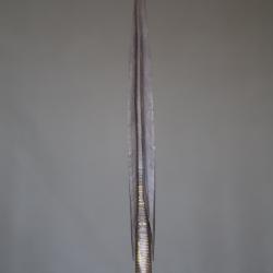 Lance (sagaie) Targui - Sahel, Sud De l'Alg&eacute;rie, Mali, Niger, 19&egrave;me d&eacute;but 20&egrave;me si&egrave;cle