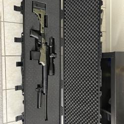 Carabine Axis Savage II pr&eacute;cision 308 win 22'