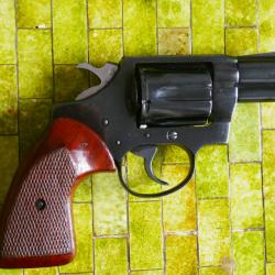 colt detective special .38