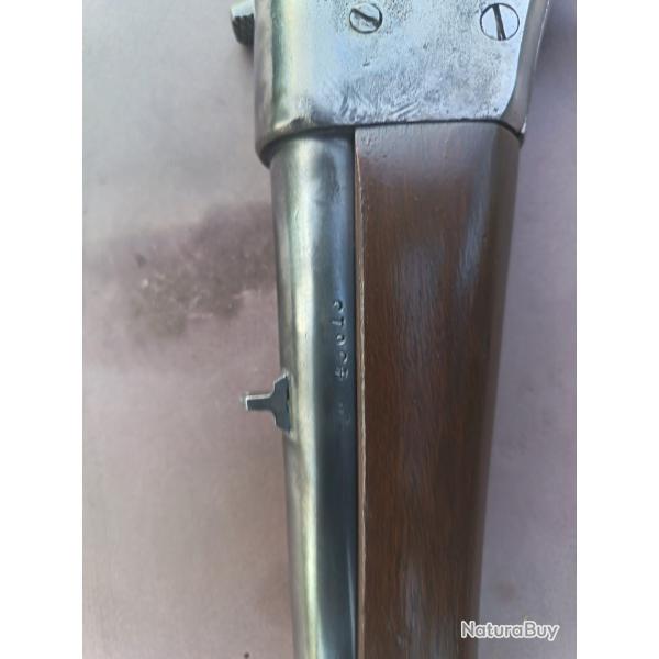 Carabine Rolling Block