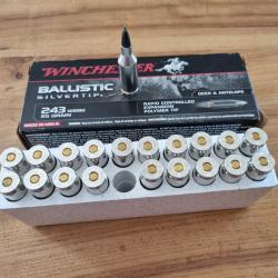 Balles 243 wssm