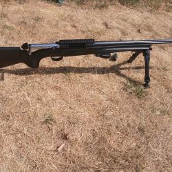 Franchi horizon varmint 308 win