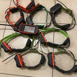 8 Collier gps plus centrale alpha 100