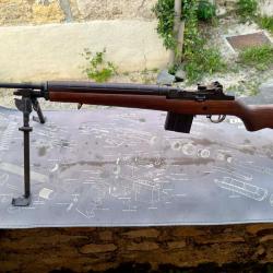 SPRINGFIELD ARMORY m1a