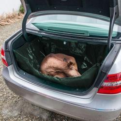 Bac &agrave; gibier pliable pour voiture