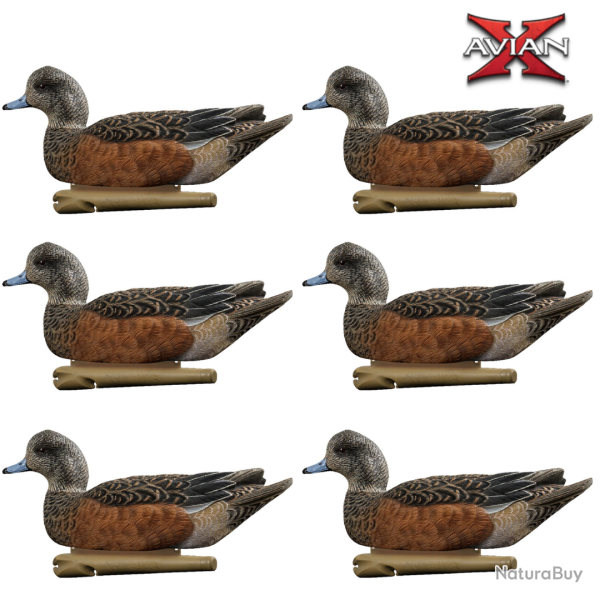 Formes de femelle siffleur TOPFLIGHT - AVIANX