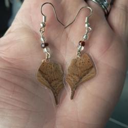 Paire de boucles d'oreilles de vraies ailes de papillon #10