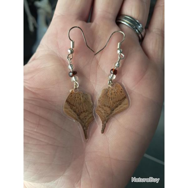 Paire de boucles d'oreilles de vraies ailes de papillon #10