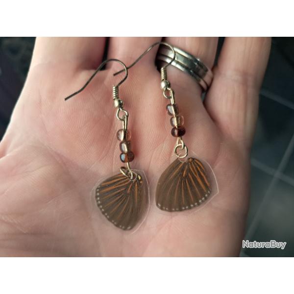 Paire de boucles d'oreilles de vraies ailes de papillon #11
