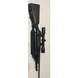 Carabine 3006