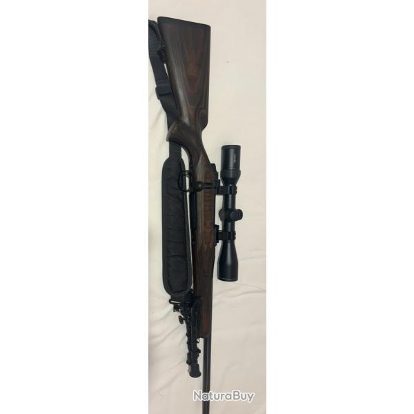 Carabine 3006