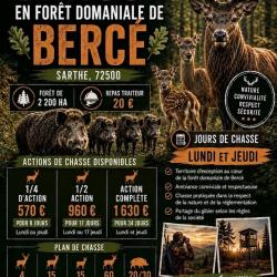 Action de Chasse