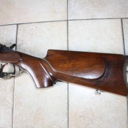 Carabine style Warnant en 22 short/6mm