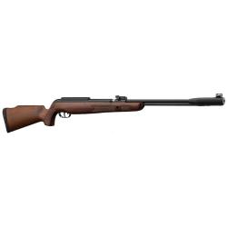 Carabine Gamo CFX ROYAL &agrave; canon fixe - 19,9J